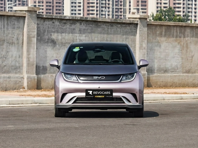 BYD Dolphin 2025