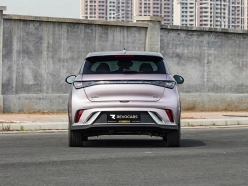 BYD Dolphin 2025