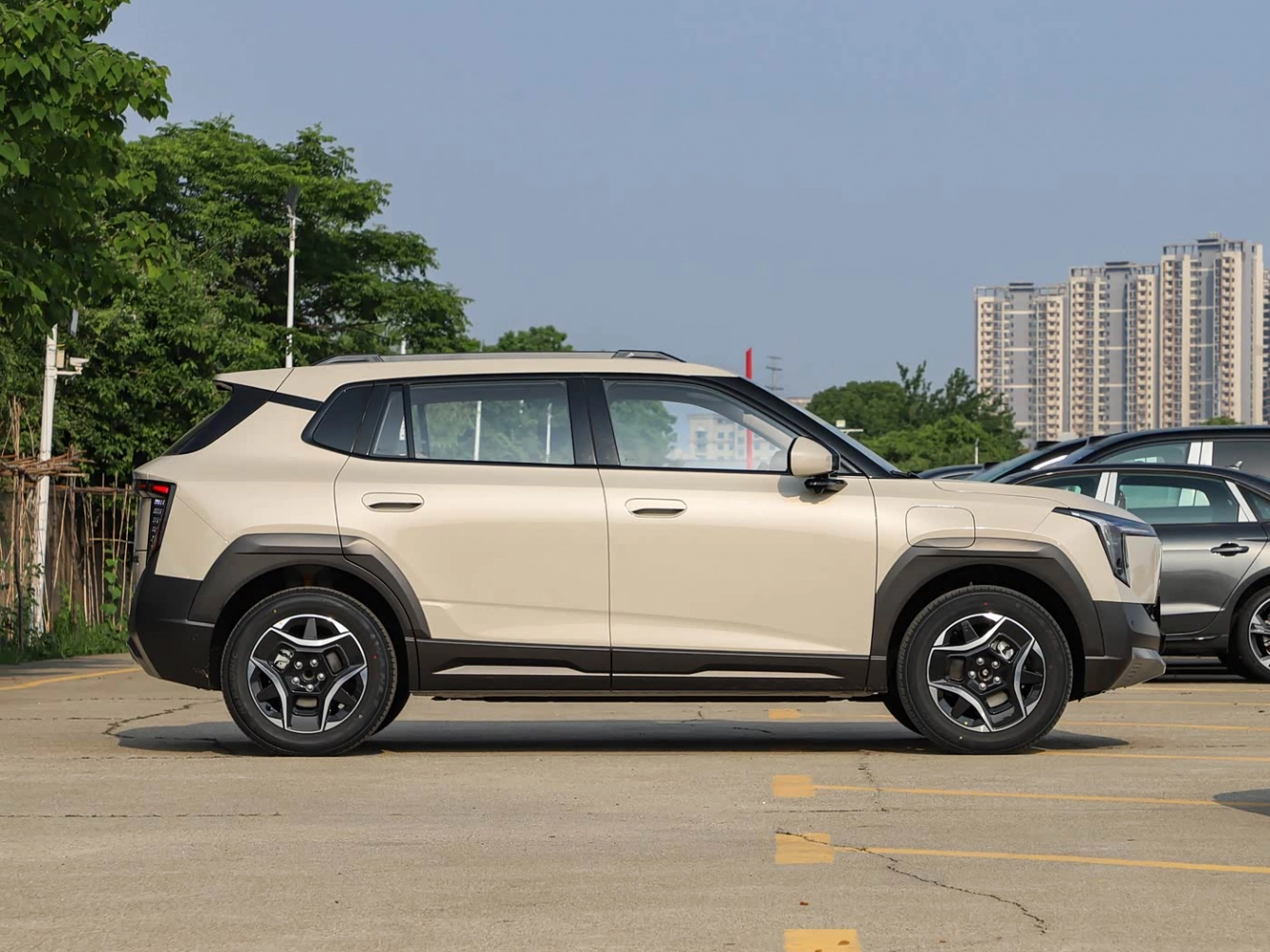 Dongfeng Nammi 06 2026