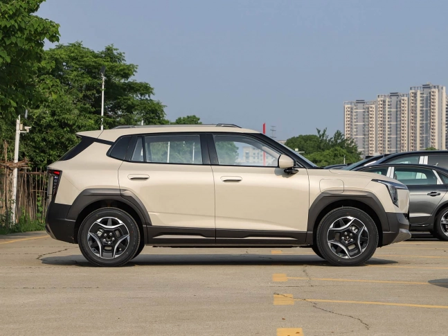 Dongfeng Nammi 06 2026
