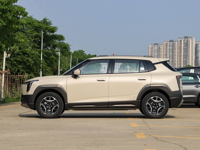 Dongfeng Nammi 06 2026
