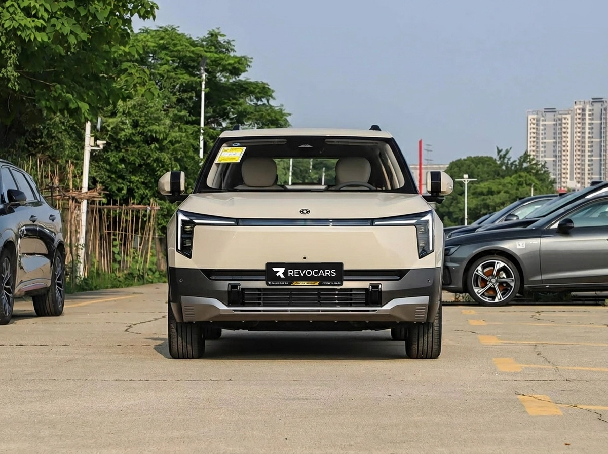 Dongfeng Nammi 06 2026