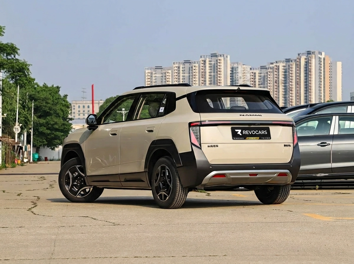 Dongfeng Nammi 06 2026