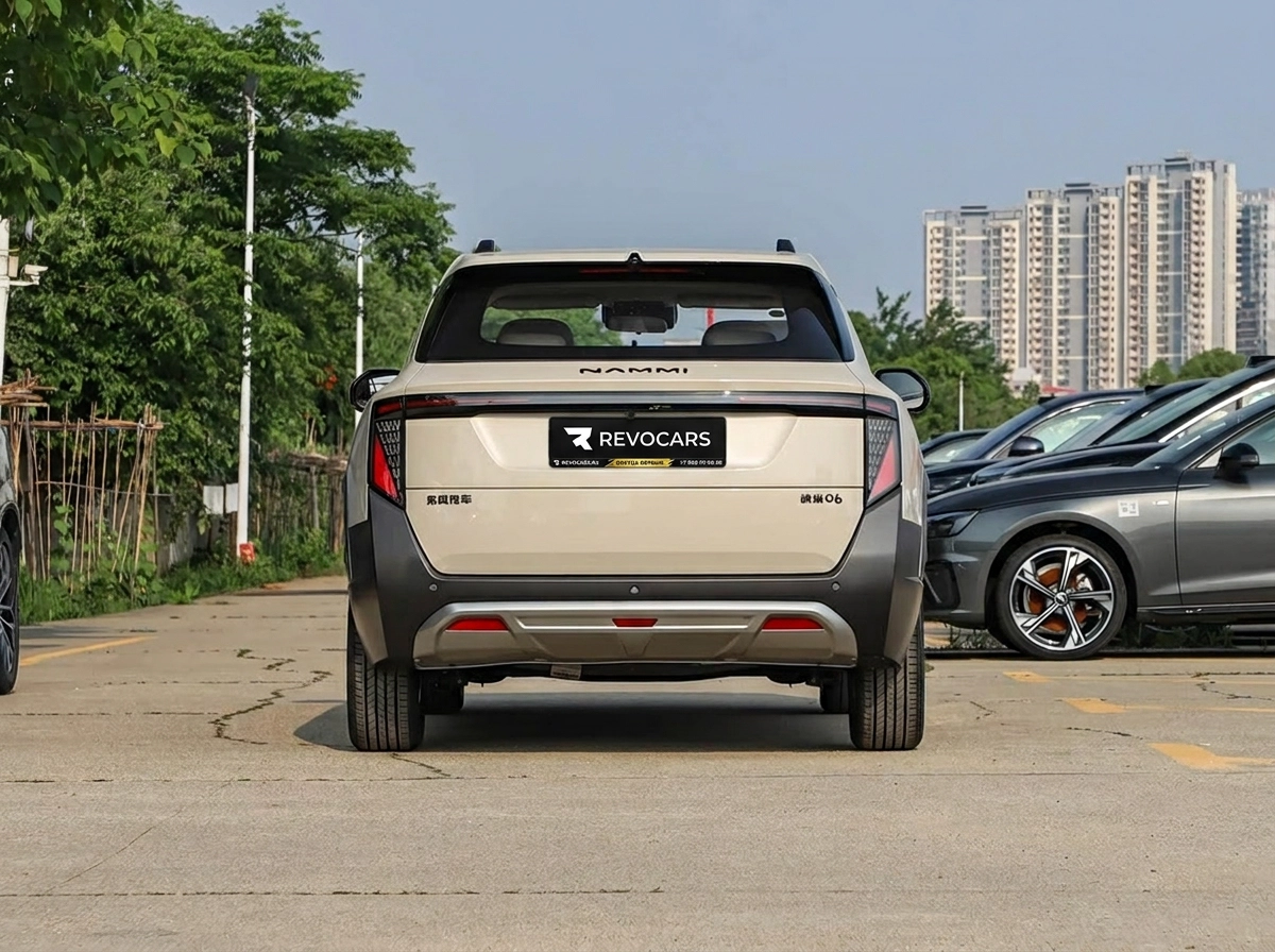 Dongfeng Nammi 06 2026