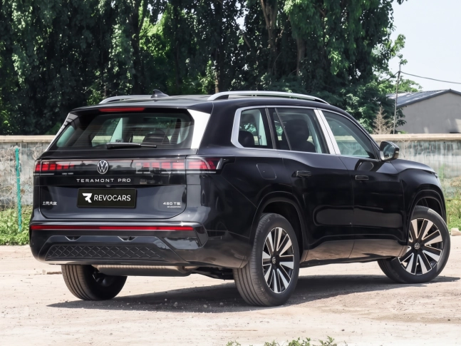 VOLKSWAGEN Teramont Pro 2026
