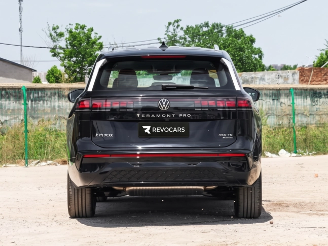 VOLKSWAGEN Teramont Pro 2026