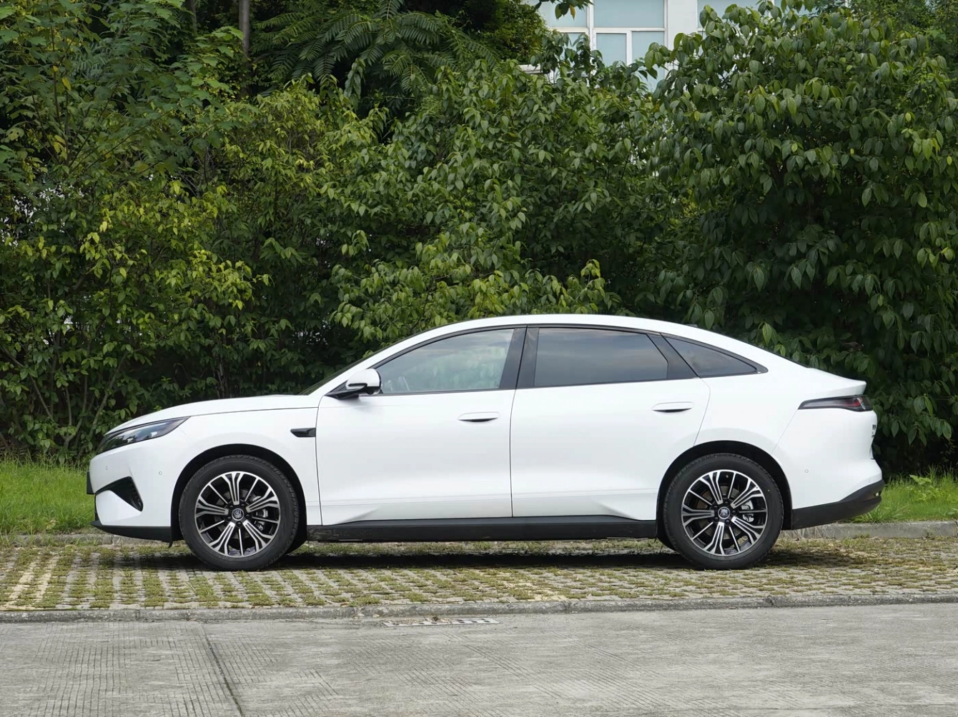 BYD Qin MAX 2026