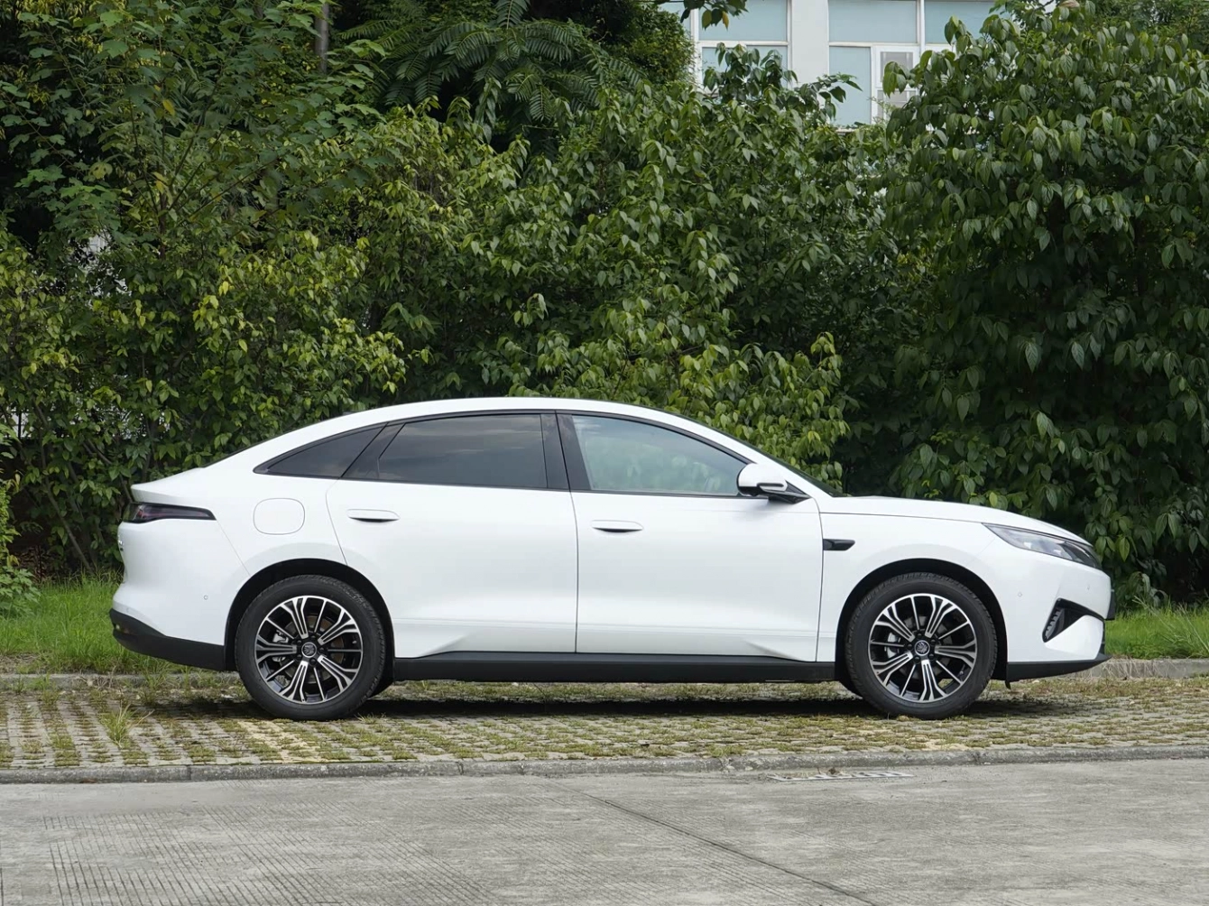 BYD Qin MAX 2026
