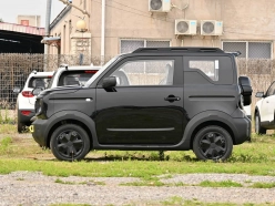 Geely Panda 2026