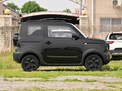 Geely Panda 2026
