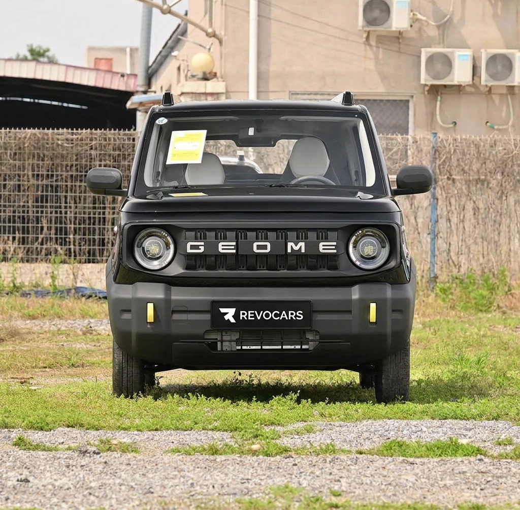 Geely Panda 2026