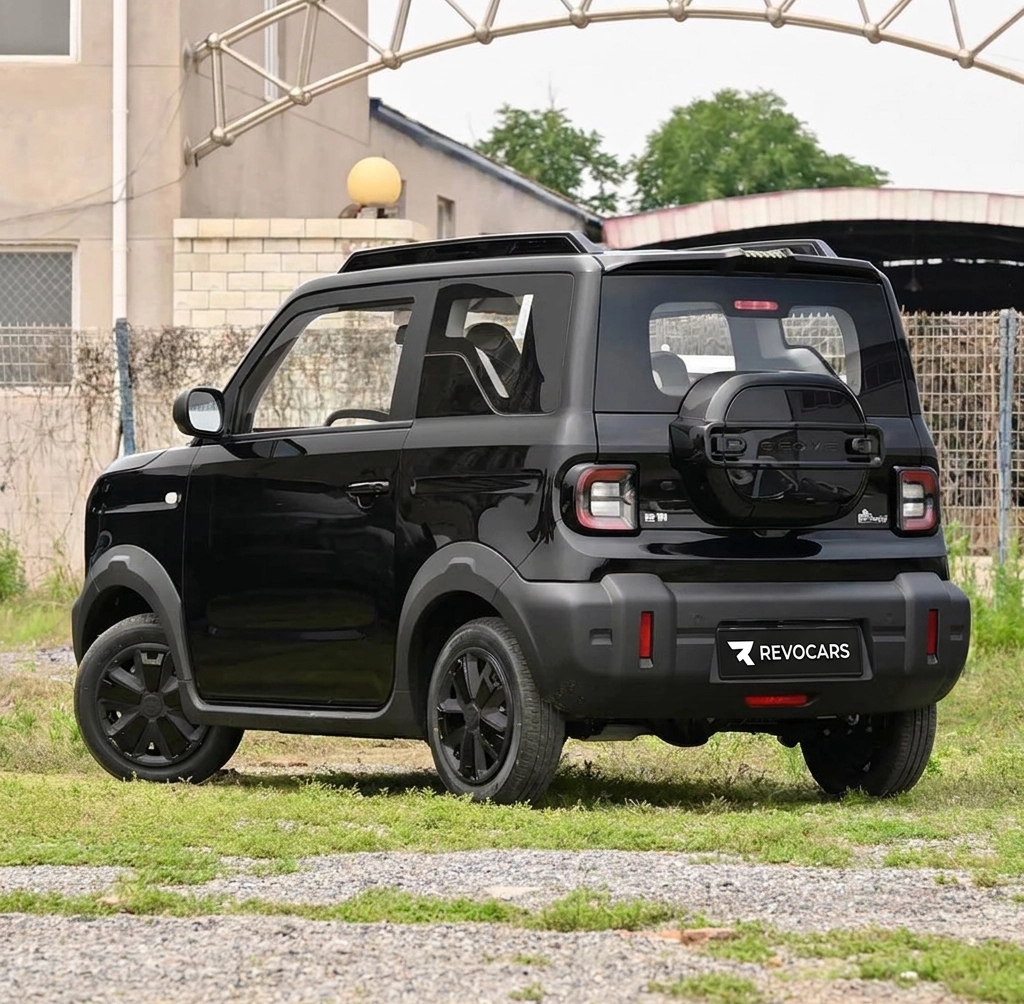 Geely Panda 2026