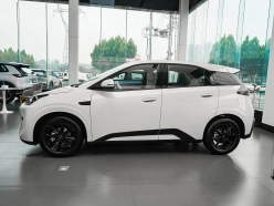 BYD SEAGULL 2027
