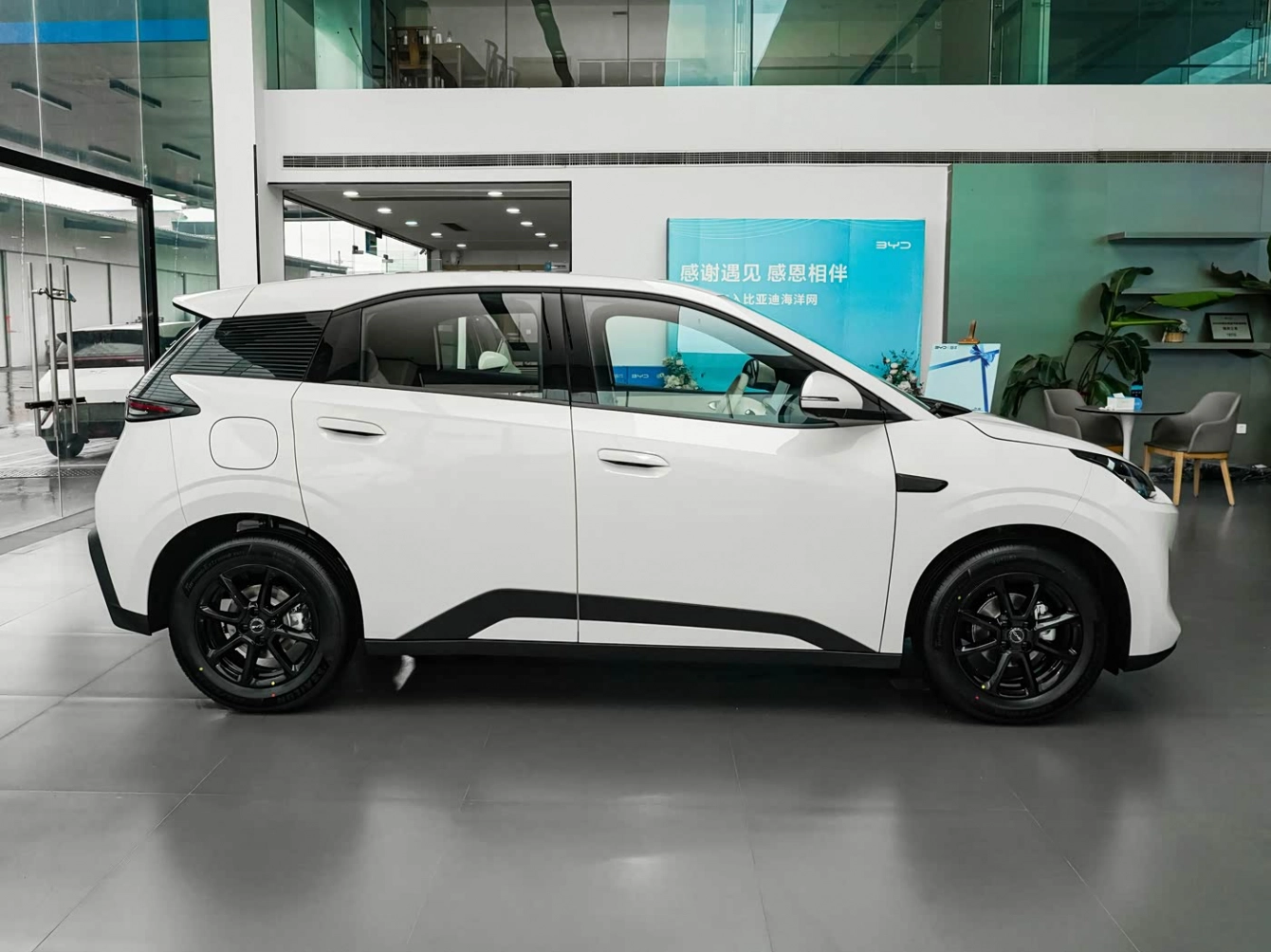 BYD SEAGULL 2027