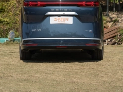 Denza D9 2025